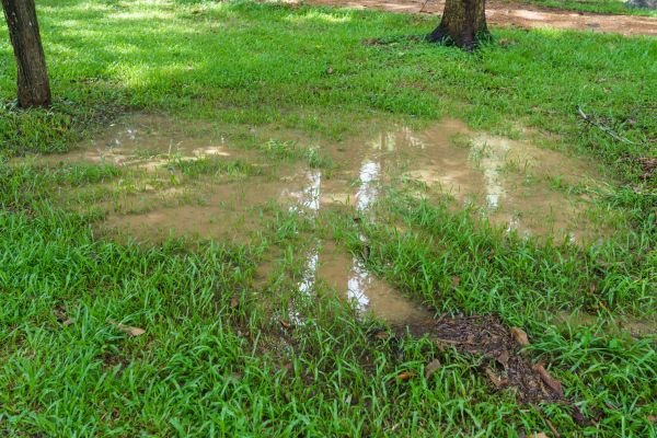 Storm Water Drainage Service in Youngstown