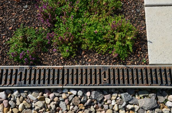 Yard Drain Repair in Youngstown
