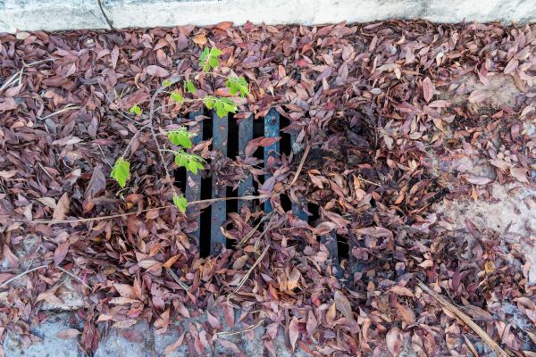 Yard Drain Unclogging in Youngstown