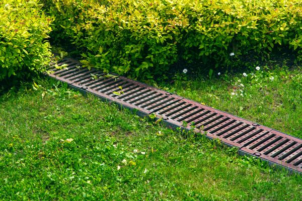 Lawn Drainage in Youngstown