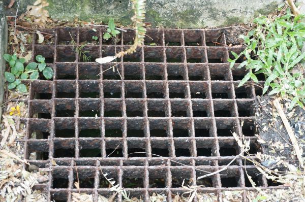 Yard Drain Cleaning in Youngstown