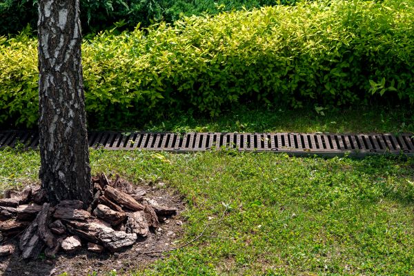 Wet Yard Drainage in Youngstown