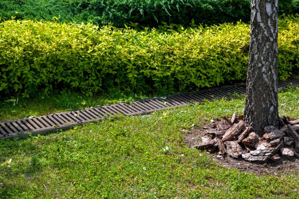 Residential Landscape Drainage in Youngstown